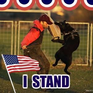 Meet your Posher, Judy